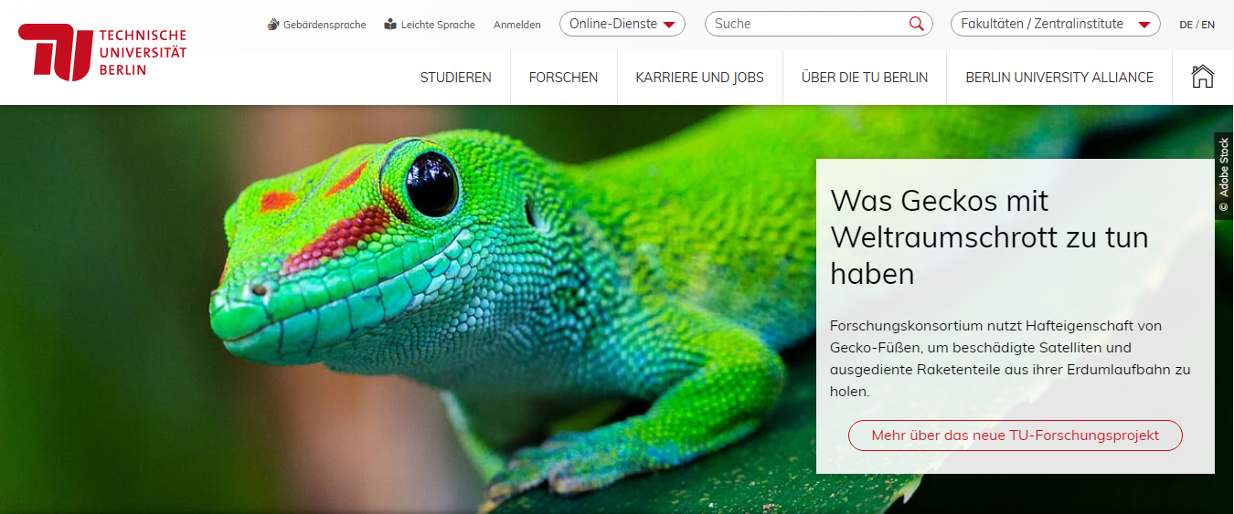 1753228259623370.png image.png